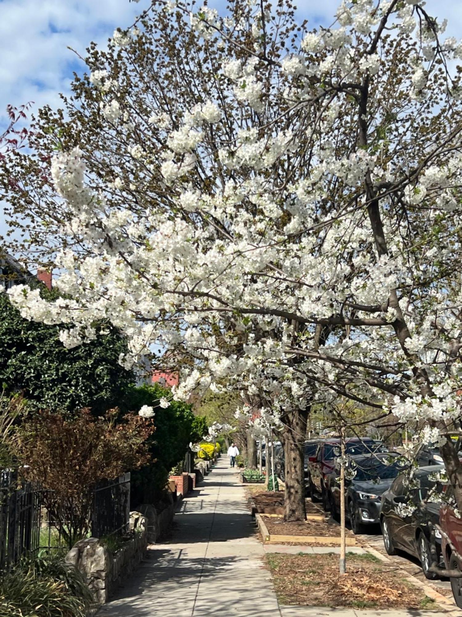 Amma'S Place Washington Ngoại thất bức ảnh